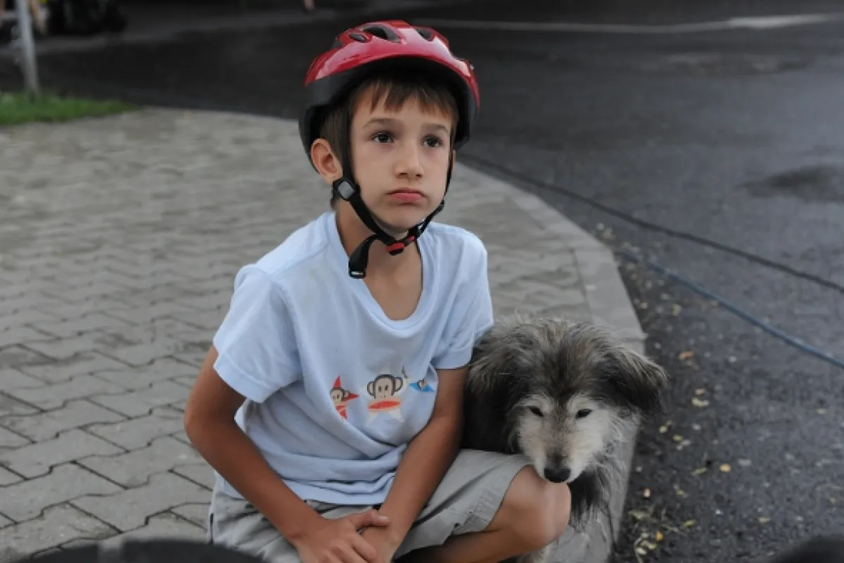 Kuky se vrací, 2010 - fotogaléria