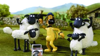 Ovečka Shaun VI