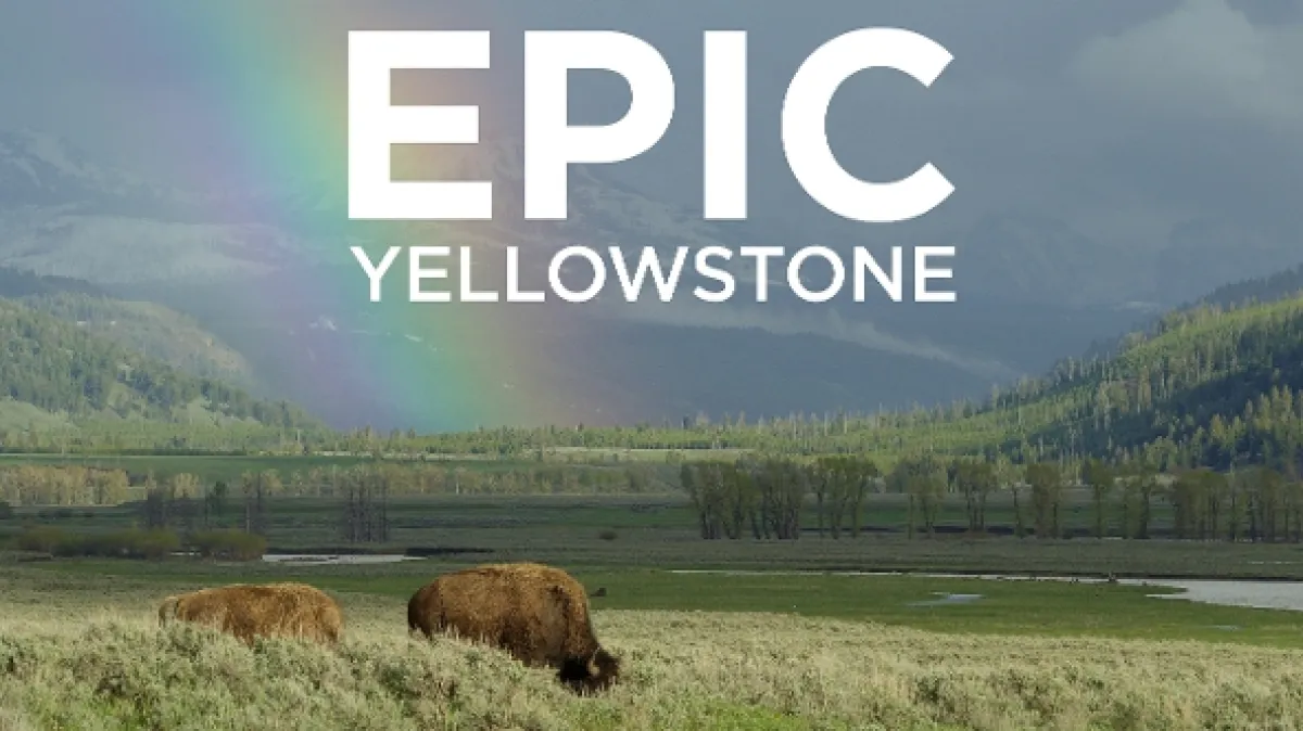 Zápisky z Yellowstonu (Yellowstone Journals), 2019 - fotogaléria