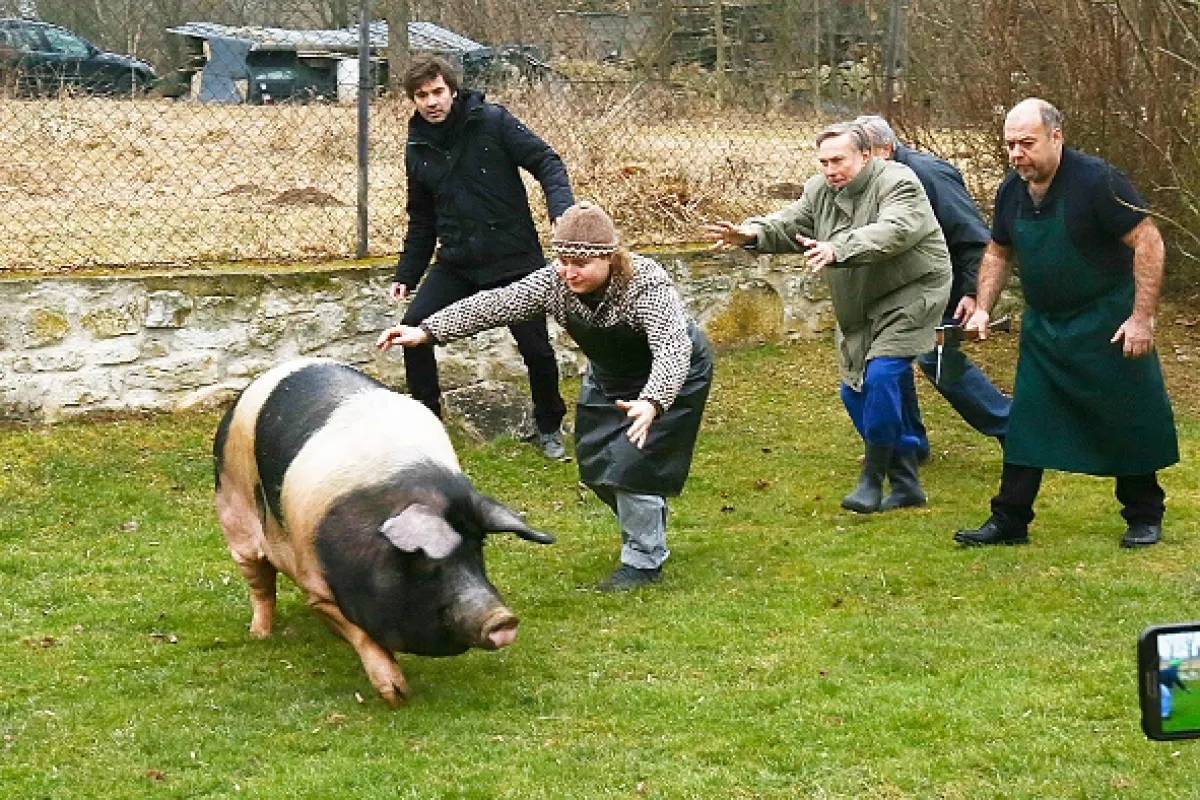 Svatby v Benátkách, 2015 - fotogaléria
