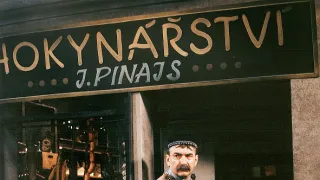 Ako si pán Pinajs kupoval od kocúra sadlo