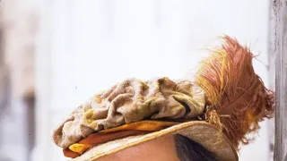 Princ a bedár
