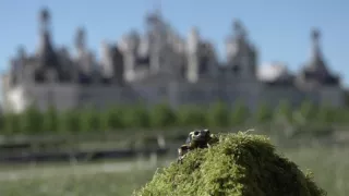 Mloci - vzor adaptability v přírodě