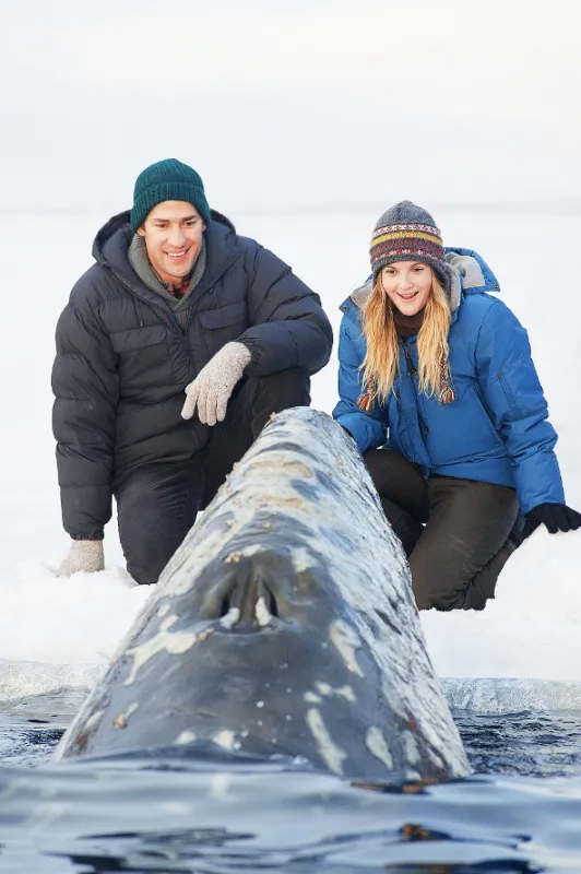 Veľký zázrak (Big Miracle) - fotogaléria