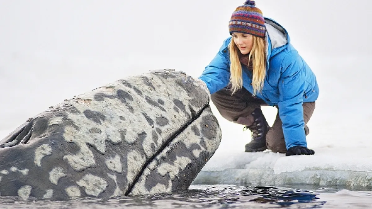 Veľký zázrak (Big Miracle) - fotogaléria