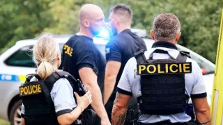 Policie Delta