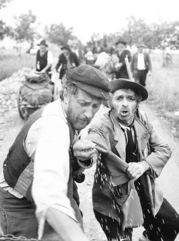 Ľalie poľné, 1972 - fotogaléria