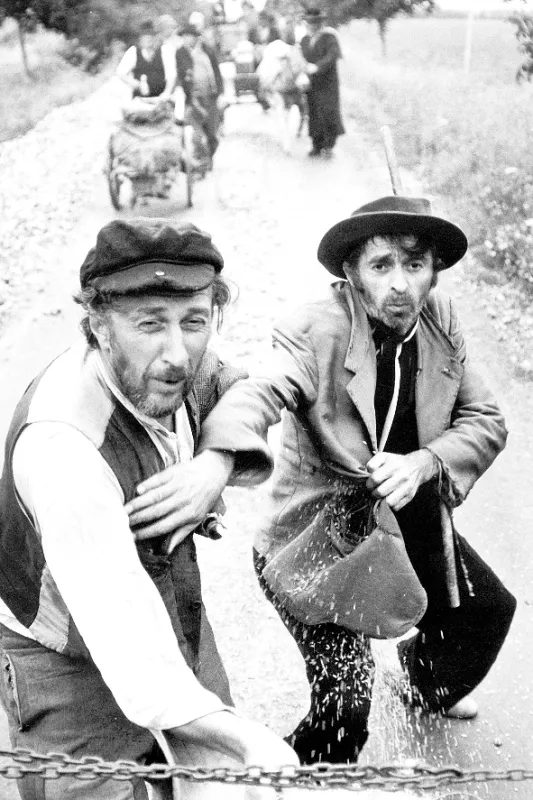 Ľalie poľné, 1972 - fotogaléria