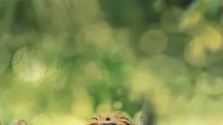 Veľké malé cesty (2/3)