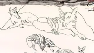 Bílý tesák (10)