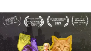 Projekt Cat City