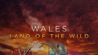 Příroda Walesu (2/2)