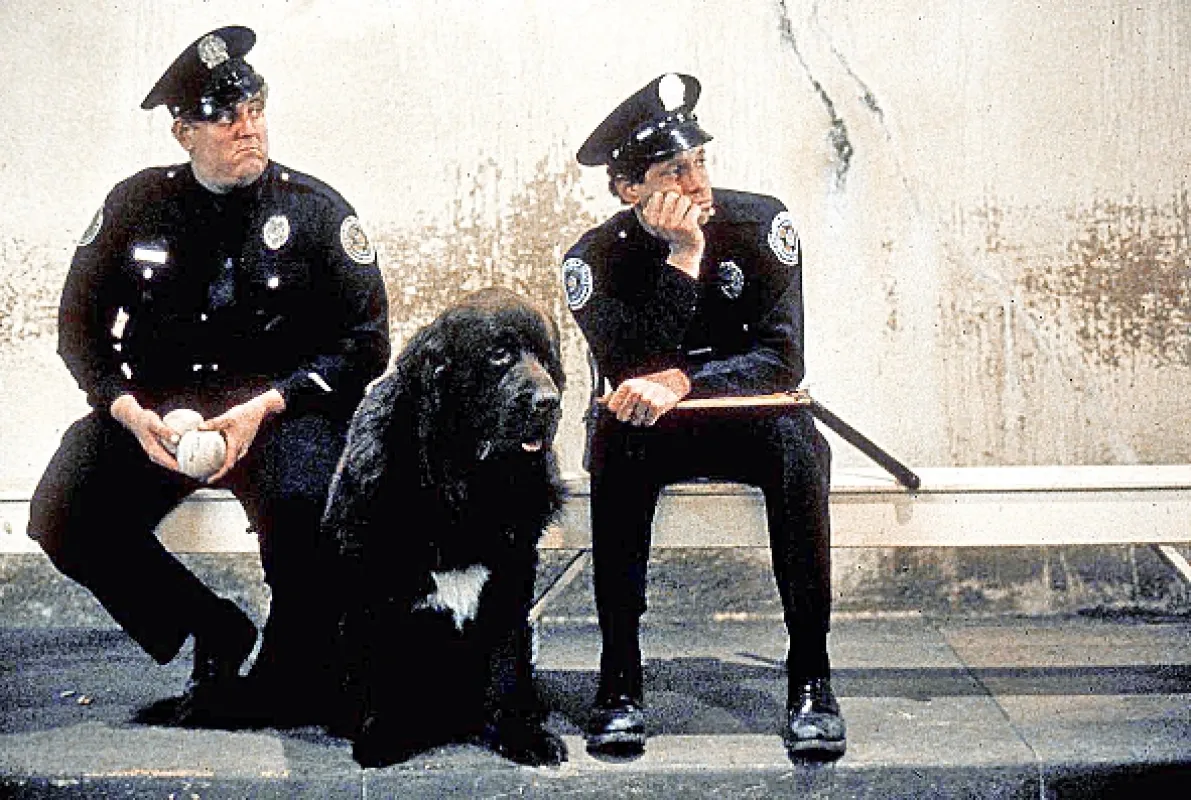 Policejní akademie (Police Academy), 1984 - fotogaléria