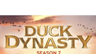 Kachní dynastie VII (3)