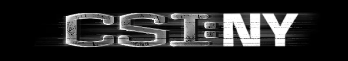 CSI: New York-i helyszínelők (CSI: NY 8), 2011 - fotogaléria