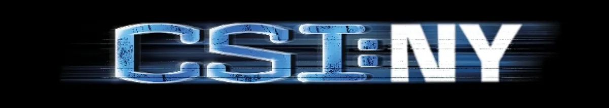 CSI: New York-i helyszínelők (CSI: NY 8), 2011 - fotogaléria