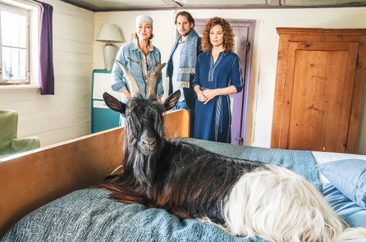 Žiť svoj sen, 2020 - fotogaléria