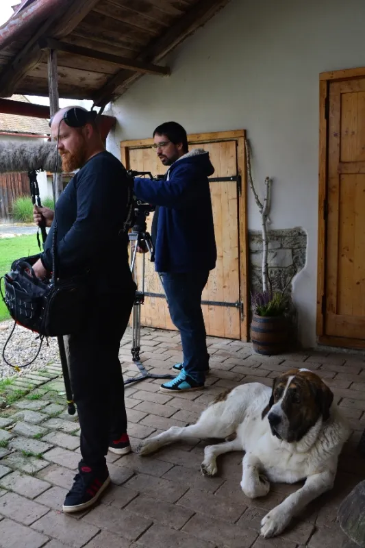 Kočka není pes - fotogaléria