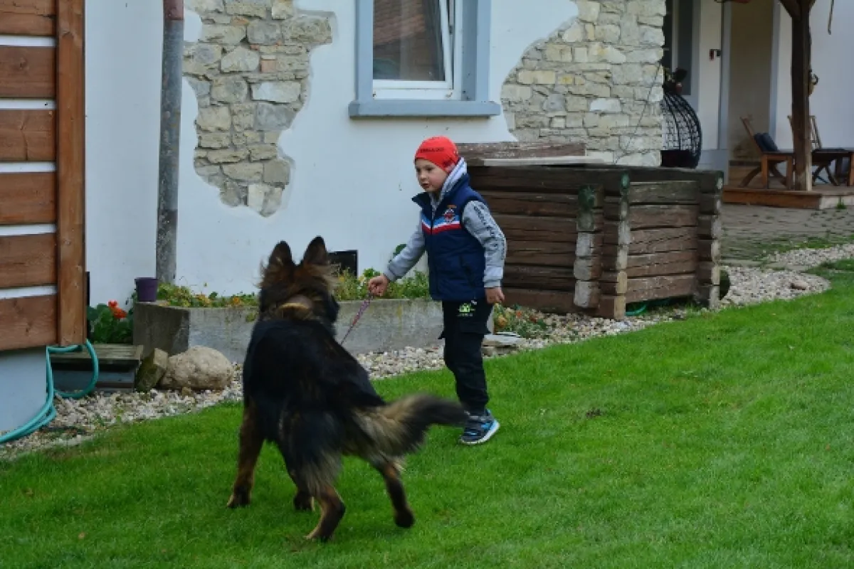 Kočka není pes - fotogaléria