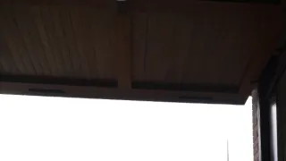 Temný les (2/6)