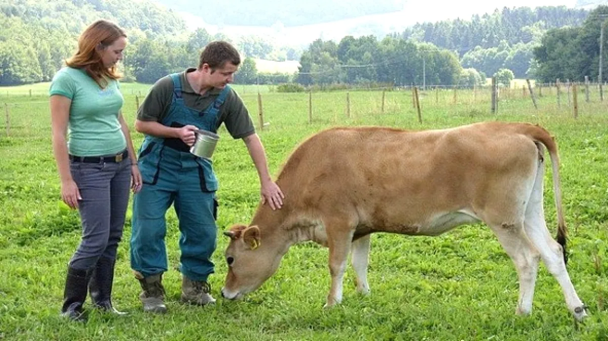 Malá farma, 2014 - fotogaléria