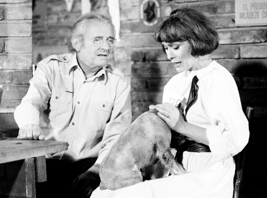 Stalo se jedné neděle, 1985 - fotogaléria