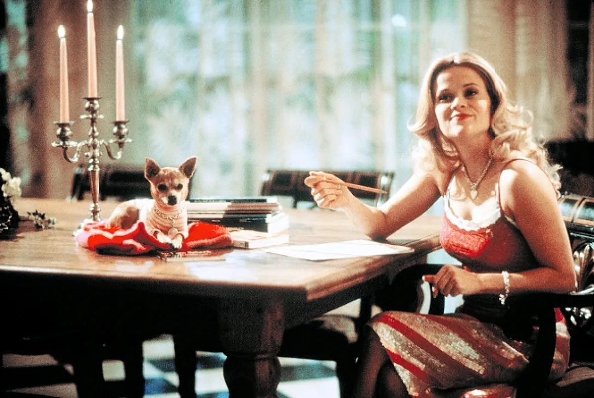 Pravá blondýnka (Legally Blonde), 2001 - fotogaléria