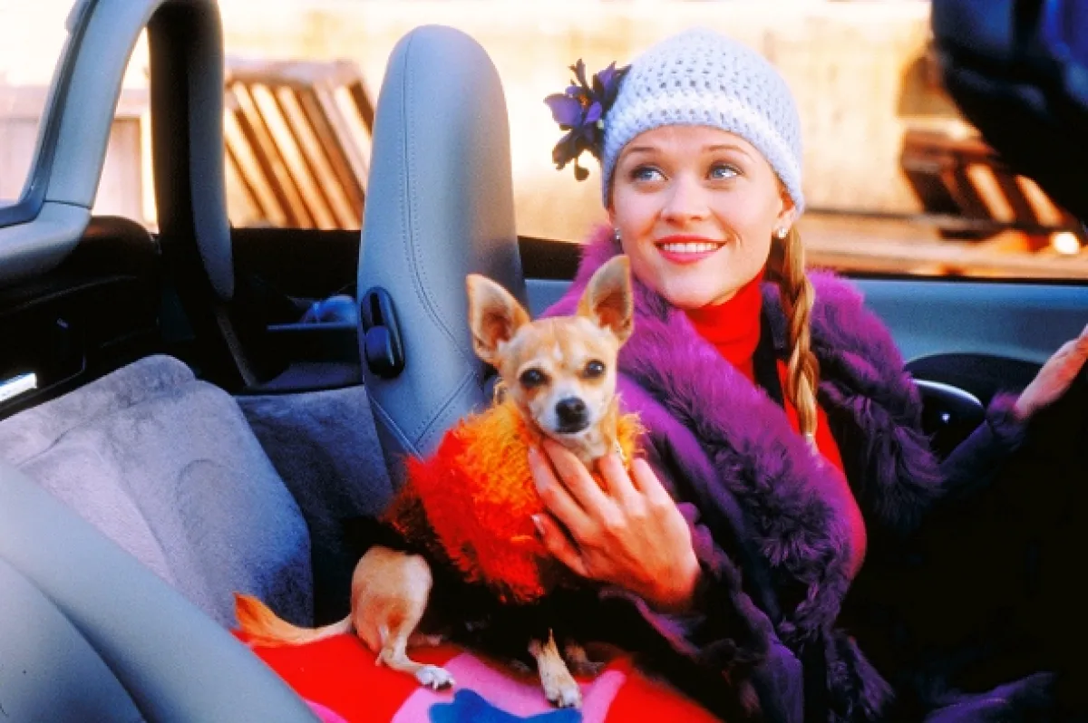 Pravá blondýnka (Legally Blonde), 2001 - fotogaléria