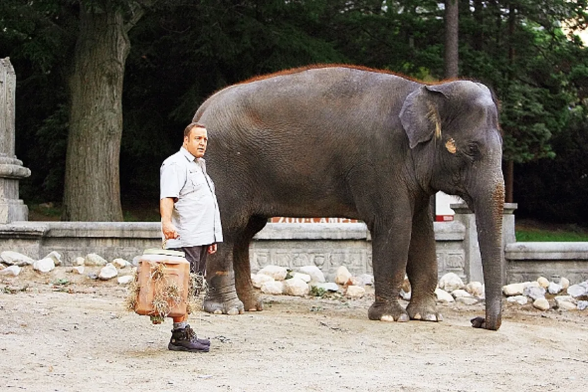 Ošetrovateľ (Zookeeper), 2011 - fotogaléria