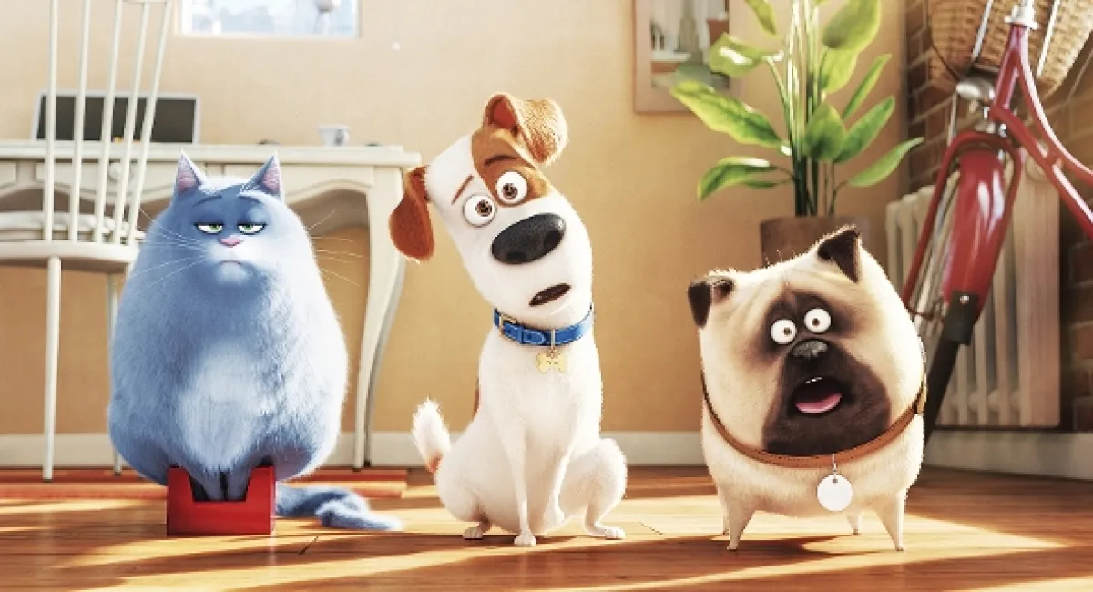 Tajný život maznáčikov (The Secret Life of Pets), 2016 - fotogaléria