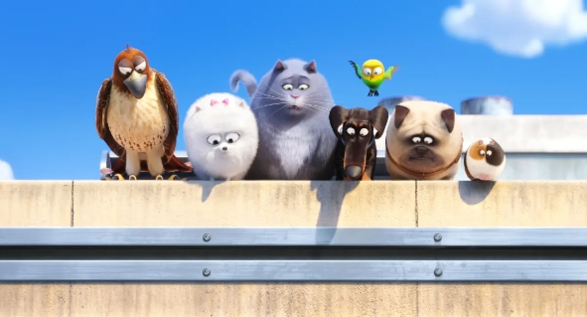 Tajný život maznáčikov (The Secret Life of Pets), 2016 - fotogaléria