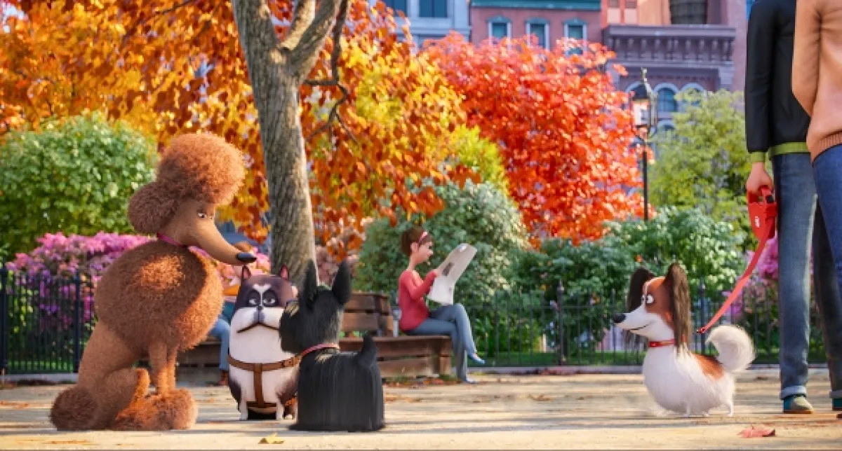 Tajný život maznáčikov (The Secret Life of Pets), 2016 - fotogaléria