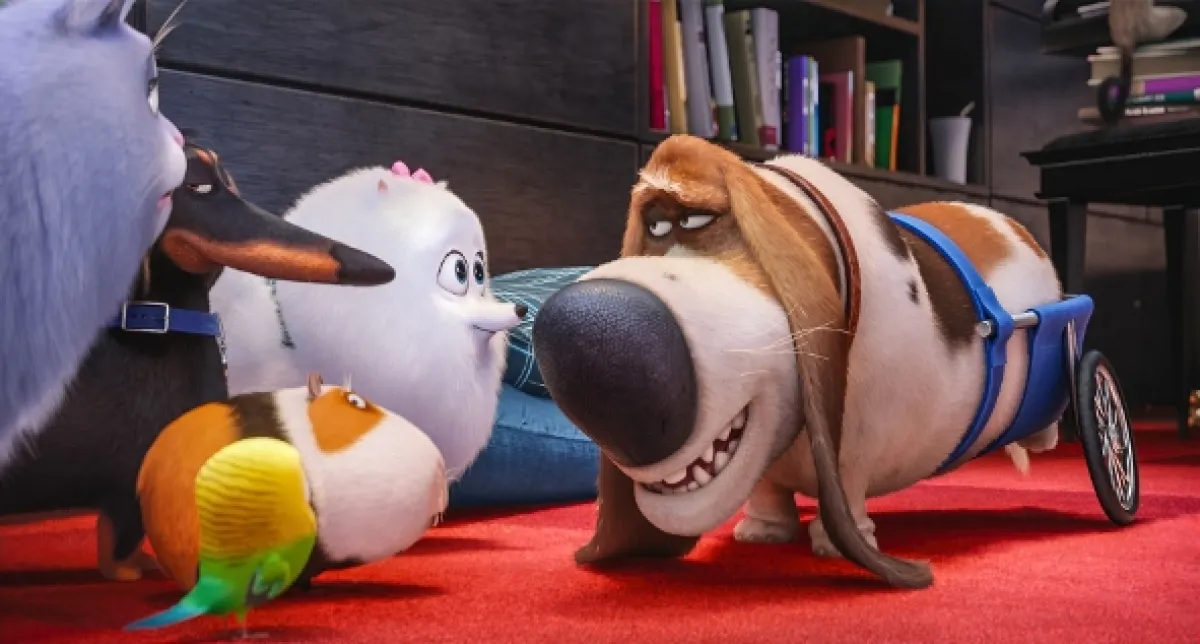 Tajný život maznáčikov (The Secret Life of Pets), 2016 - fotogaléria