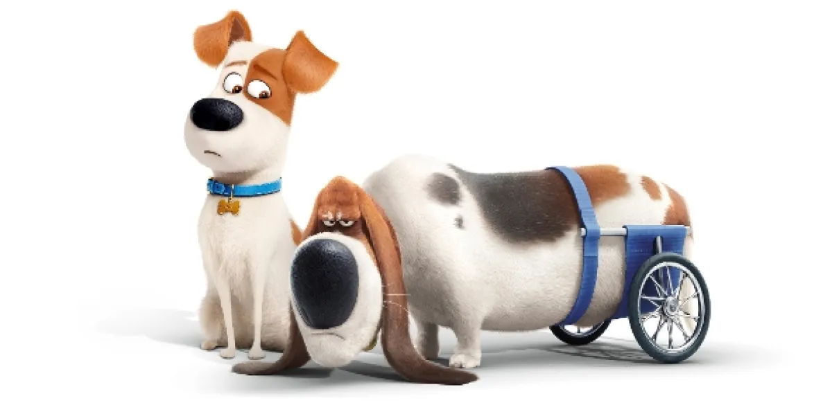 Tajný život maznáčikov (The Secret Life of Pets), 2016 - fotogaléria
