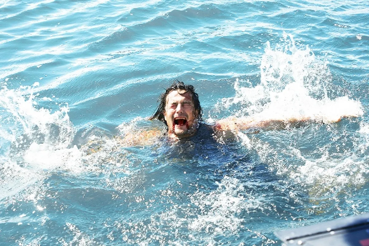 Žralok v Malibu (Malibu Shark attack), 2009 - fotogaléria