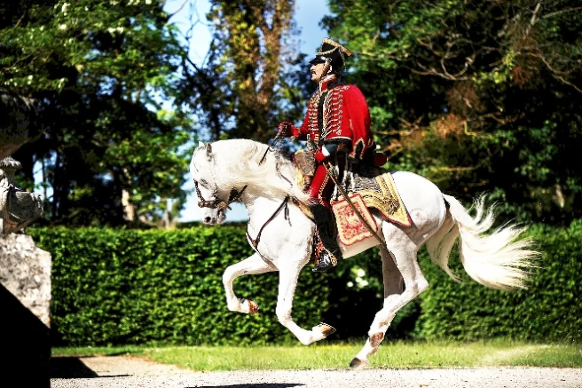 Návrat hrdiny (Retour du héros), 2018 - fotogaléria