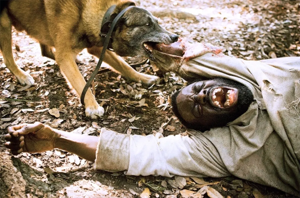 Nespoutaný Django (Django Unchained), 2012 - fotogaléria
