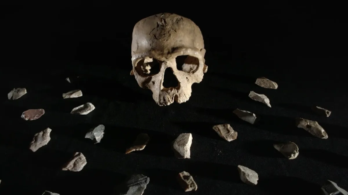 Homo sapiens: Nové počátky, 2020 - fotogaléria