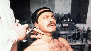 Salamandr