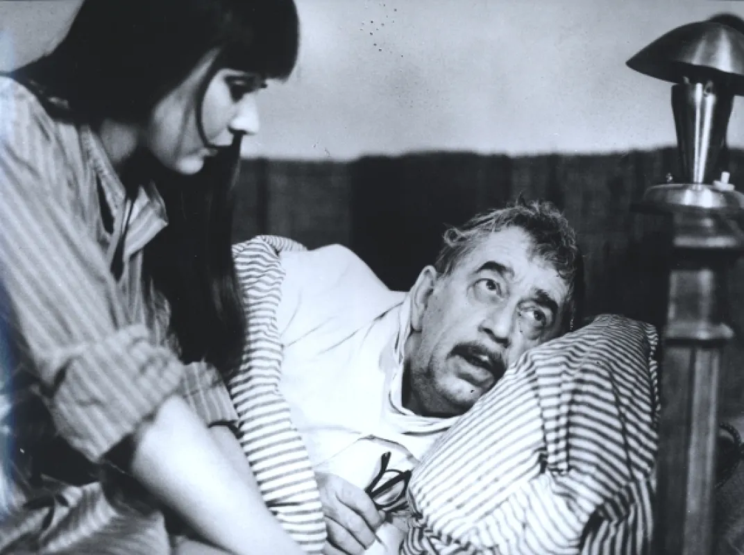 Návštěvníci, 1983 - fotogaléria