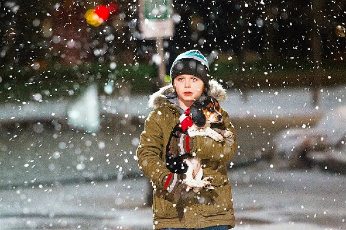 Nezabudnuteľné Vianoce (One Christmas Eve), 2014 - fotogaléria