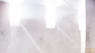 Zrádce