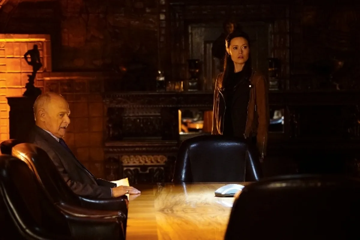 Vtierka Castle (Castle VIII. HD - The Last Seduction), 2015 - fotogaléria