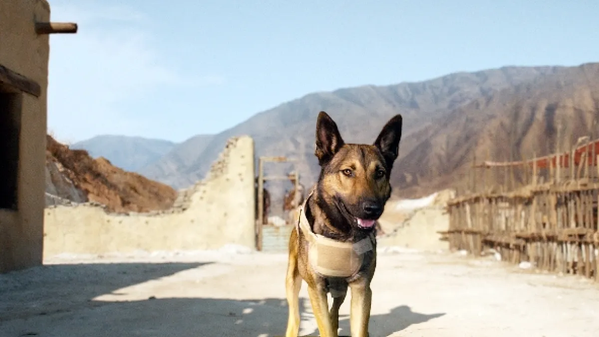 Hrdina Max (Max), 2015 - fotogaléria