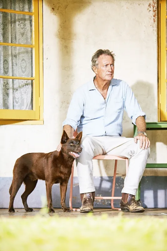 Red Dog 2 (Red Dog: True Blue), 2016 - fotogaléria
