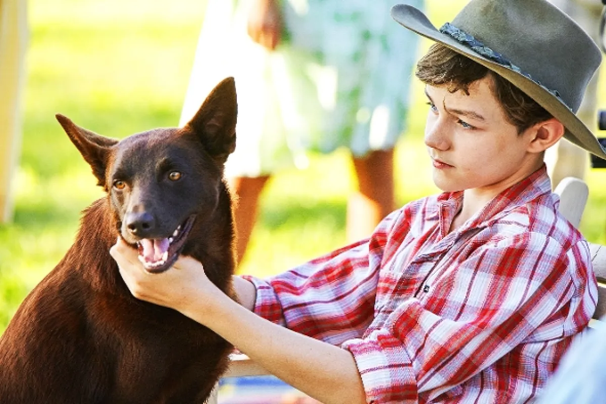 Red Dog 2 (Red Dog: True Blue), 2016 - fotogaléria