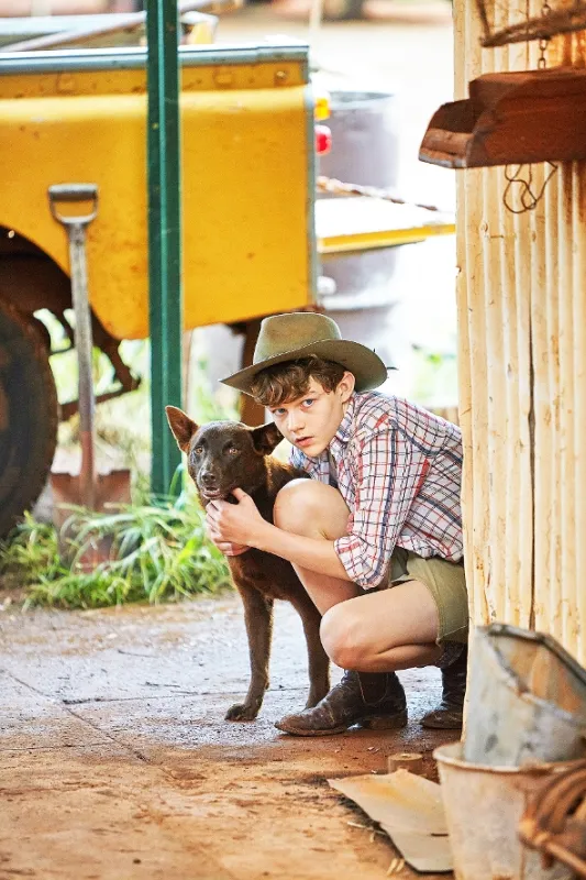 Red Dog 2 (Red Dog: True Blue), 2016 - fotogaléria