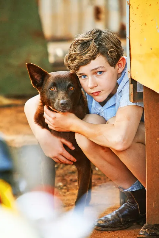 Red Dog 2 (Red Dog: True Blue), 2016 - fotogaléria