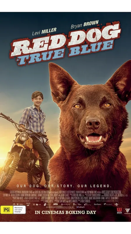 Red Dog 2 (Red Dog: True Blue), 2016 - fotogaléria