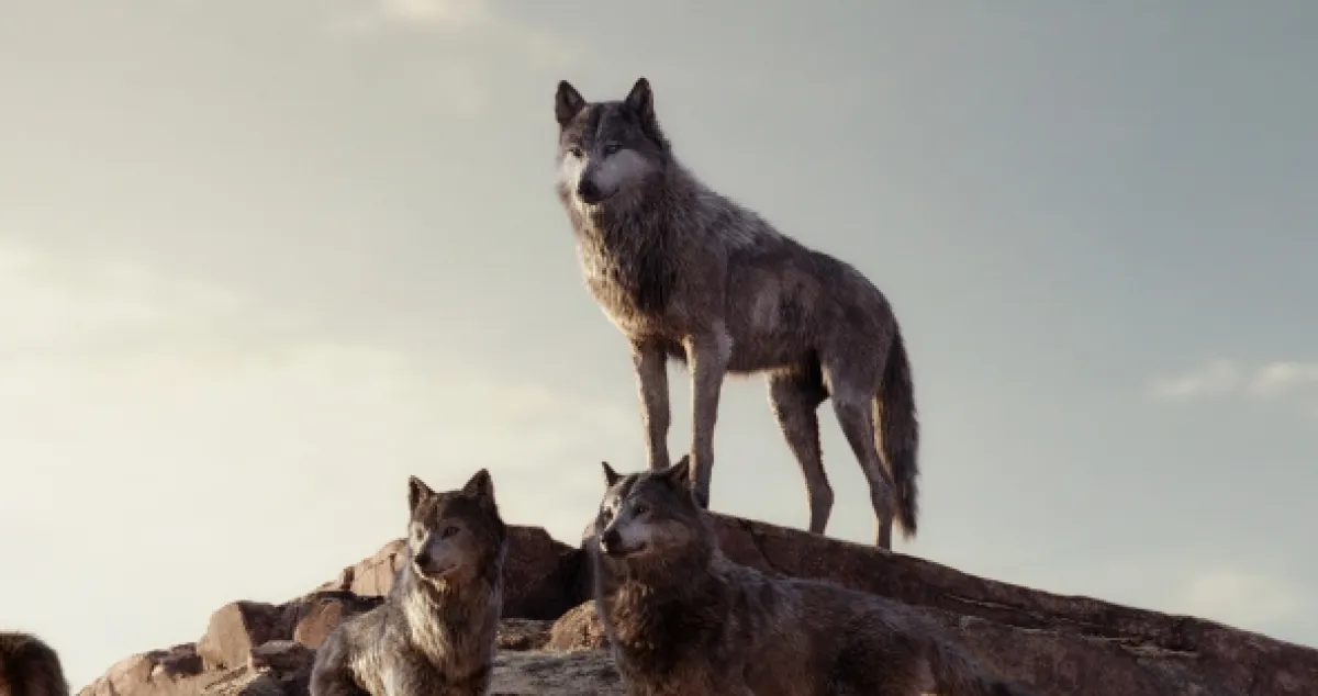 Kniha džungle (The Jungle Book), 2016 - fotogaléria